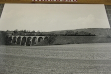 Diessenhofen mit 2 Krokodilen, 1986