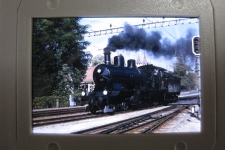 SBB Murten Dampflok