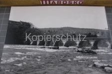 Neuhausen am Rheinfall mit Krokodil, 1986