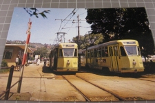 Neuchâtel Auvernier mit Tram