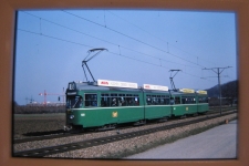 Basler Verkehrsbetriebe BVB