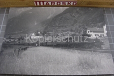 Silenen mit Krokodil, 1985