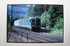 Wassen 1991