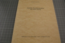 Trinidads eisenbahnproblem und seine Lösung