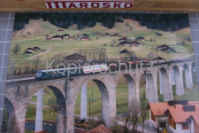 Frutigen mit Messzug, 1998