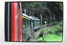 Brünig, 1988