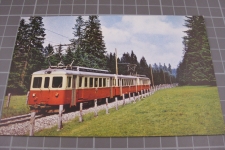 Franches Montagnes mit Zug