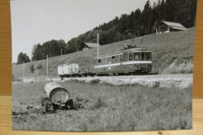 Zug im neuenburger Jura