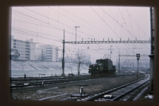Krokodil im RB Biel, 1975