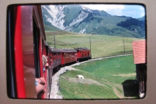 Glacier-Express bei Segnas
