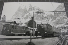 Bahnhof Grindelwald mit Zügen