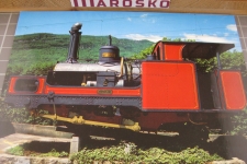 Dampflokomotive der Monte Generoso Bahn