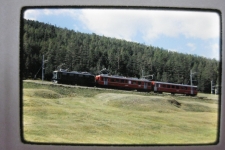 RhB bei Pontresina