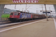 Rheinfelden 2012