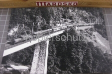 Amsteg mit Krokodil, 1985