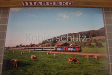 Eschlikon, 2009