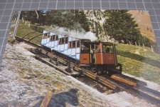Aemsigen ob Alpnachstad mit Dampfzug