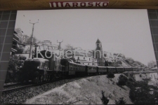 S. Nazzaro mit Krokodil, 1985
