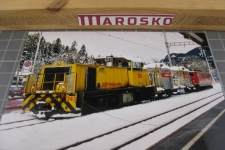 Güterzug mit Gmf 4/4