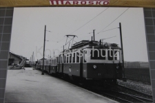 Bercher 1986