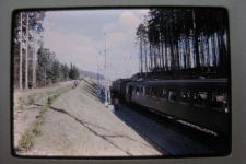 Schweizerische Bundesbahnen SBB