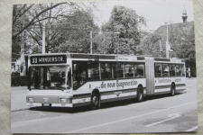 Basel Bus