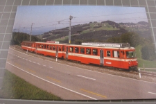 Schwarzer Bären mit Trogener-Bahn