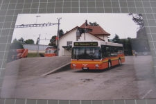 Meisterschwanden mit Zug