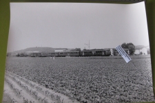 SBB Regionalzug mit RBe 4/4