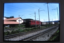 Zollikofen Grauholz mit Zug 2005