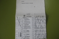 SBB grafischer Fahrplan 203