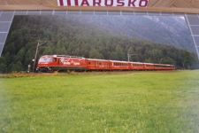 Bever 1996