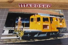 Tm 2/2 24 in Samedan 2001