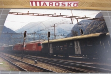 Erstfeld 1994 Messzug