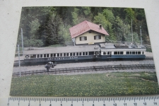 Rigi Fruttli mit Zug