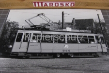 Aesch 1982