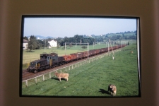 Ostschweiz mit SBB Krokodil, ca 1978