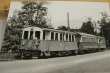 Buchenhof-Distelberg mit Zug