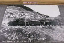 Leventina mit Krokodil, ca 1975