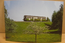 Zwischen Wil und Bronschhofen