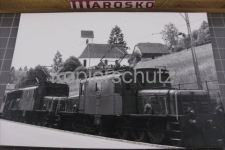 Birrwil mit Krokodilen, 1982