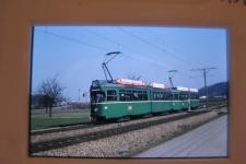 Basler Verkehrsbetriebe BVB