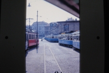 Tram Zürich VBZ FB