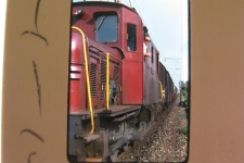 Seetal Krokodil 1977-79