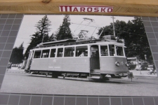 Locarno 1947