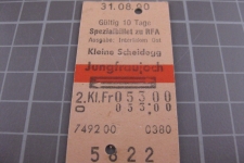 Kartonbillett Schweiz