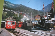 Vitznau Bahnhof mit Zügen