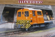 Tm 2/2 21 in Scuol 2002