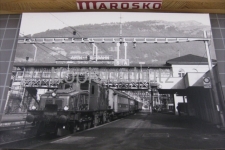 Arth-Goldau mit Krokodil, 1985